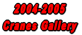2004-2005 Cranes Gallery
